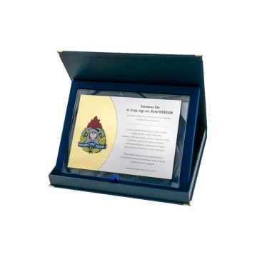 PSP Recognition Diploma - Levels - Engraving and Colorful Logo - DUV039