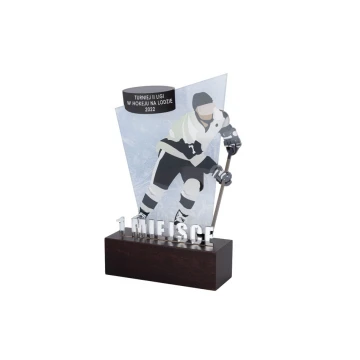 Acrylic Trophy on Wooden Pedestal - Hockey - height 21cm - DTA080