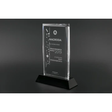 Glass Trophy in Case - Dallas - TSZ091